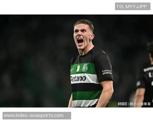 葡超最新积分榜波尔图稳居榜首葡体紧随其后本菲卡排名第三竞争激烈 葡超最新积分榜波尔图稳居榜首葡体紧随其后本菲卡排名第三竞争激烈