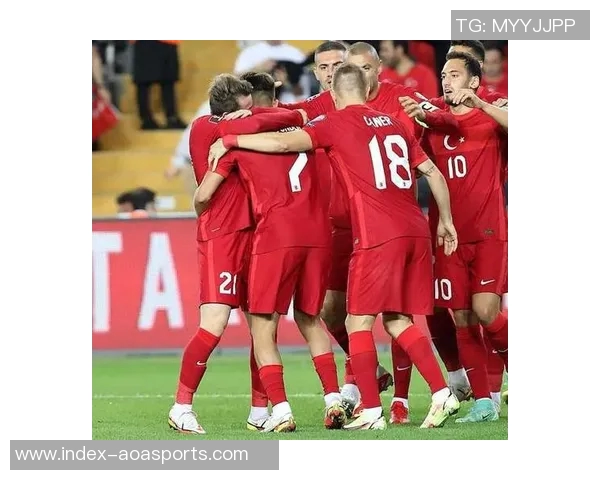 舍什科膝伤困扰或将缺席斯洛文尼亚世预赛征战 舍什科膝伤困扰或将缺席斯洛文尼亚世预赛征战